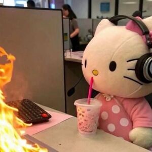 Meet your Posher, Mafe